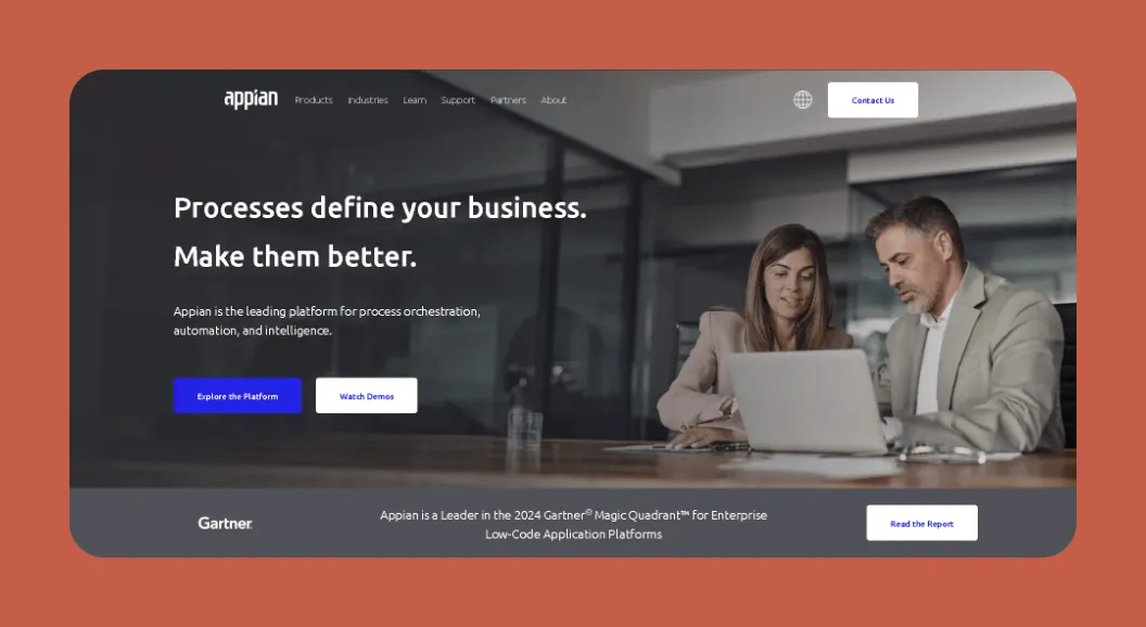 Appian interface